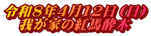 令和8年4月12日（日） 　我が家の紅馬酔木